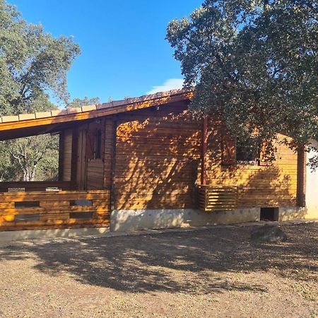Chalet Climatise Porticcio Corse Fontanaccio Εξωτερικό φωτογραφία