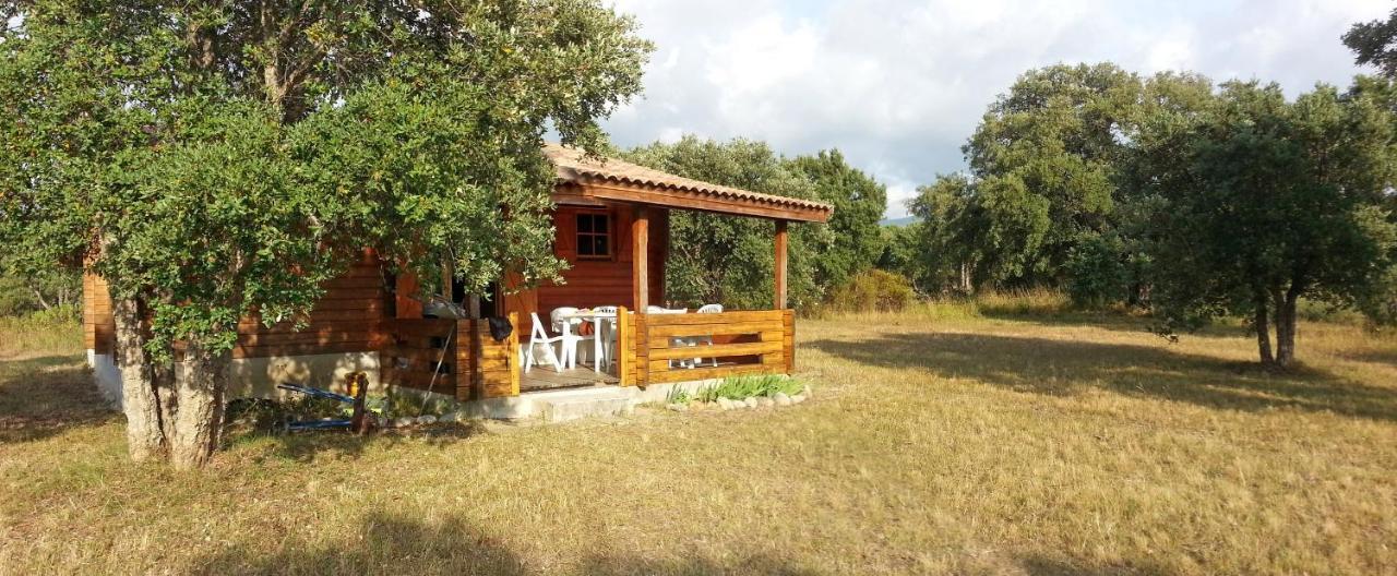 Chalet Climatise Porticcio Corse Fontanaccio Εξωτερικό φωτογραφία